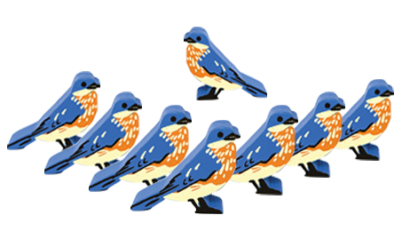 Bluebird