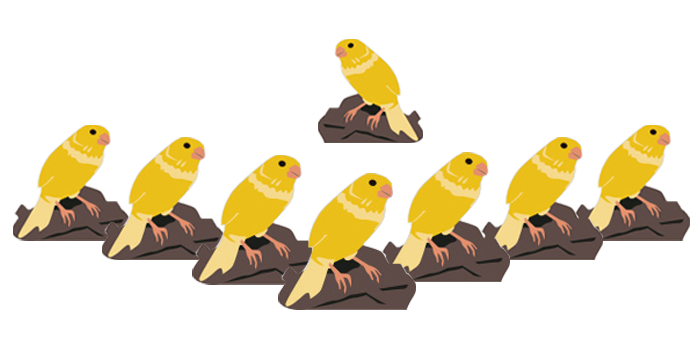 Canary