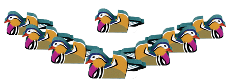 Mandarin_Ducks_8a948af9-9bb3-43c7-acf8-c7ffecf72453