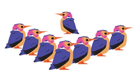 Pygmy_Kingfisher