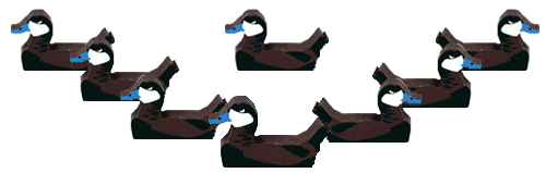 RuddyDuck