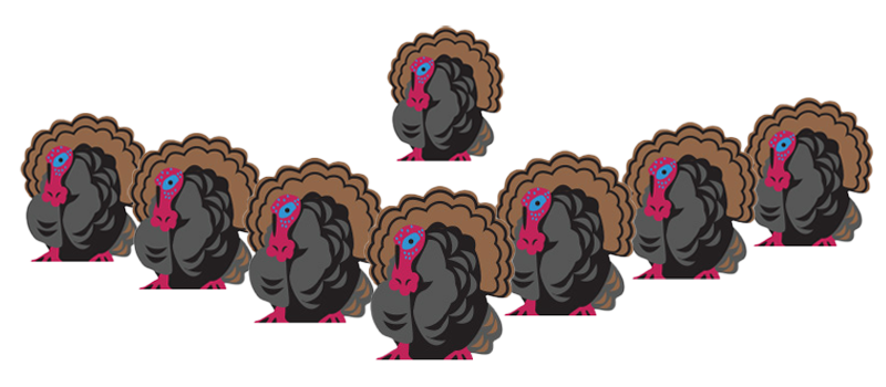Wild_Turkey
